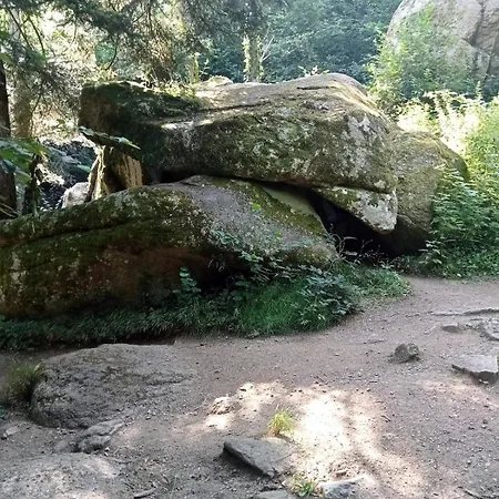 Charmante Maison Pres De La Foret De Chataigniers *