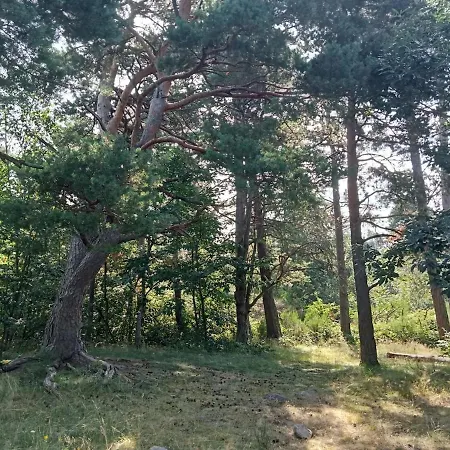 Prázdninový dům Charmante Maison Pres De La Foret De Chataigniers