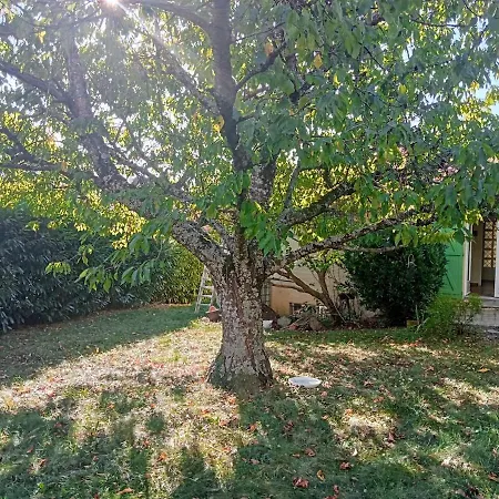 Charmante Maison Pres De La Foret De Chataigniers Ceyrat