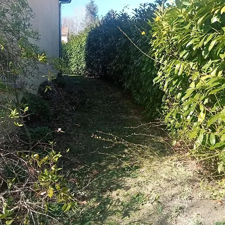 Charmante Maison Pres De La Foret De Chataigniers Ceyrat