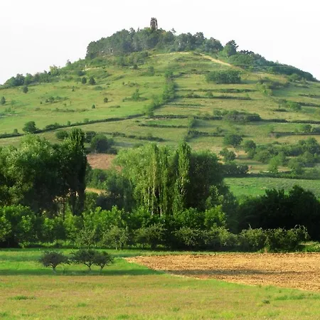 Charmante Maison Pres De La Foret De Chataigniers *