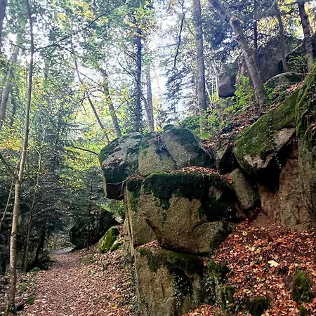 Charmante Maison Pres De La Foret De Chataigniers * Ceyrat