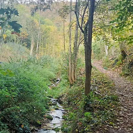 Prázdninový dům Charmante Maison Pres De La Foret De Chataigniers