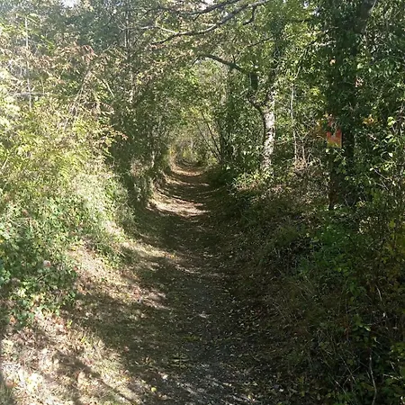Charmante Maison Pres De La Foret De Chataigniers Nyaraló Ceyrat