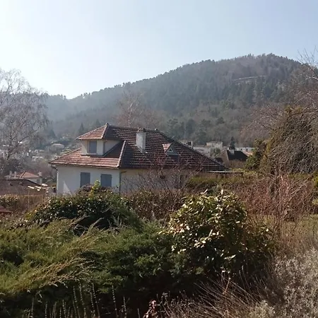 Prázdninový dům Charmante Maison Pres De La Foret De Chataigniers Ceyrat
