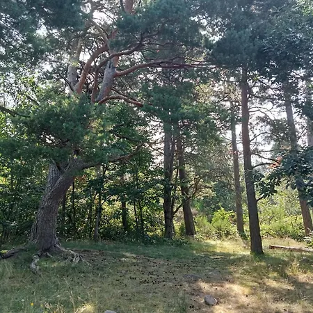 Charmante Maison Pres De La Foret De Chataigniers Prázdninový dům