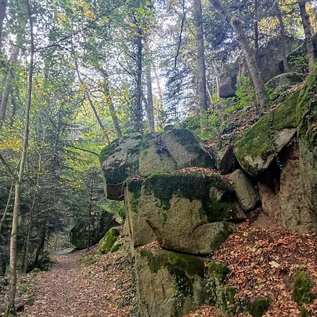 Prázdninový dům Charmante Maison Pres De La Foret De Chataigniers